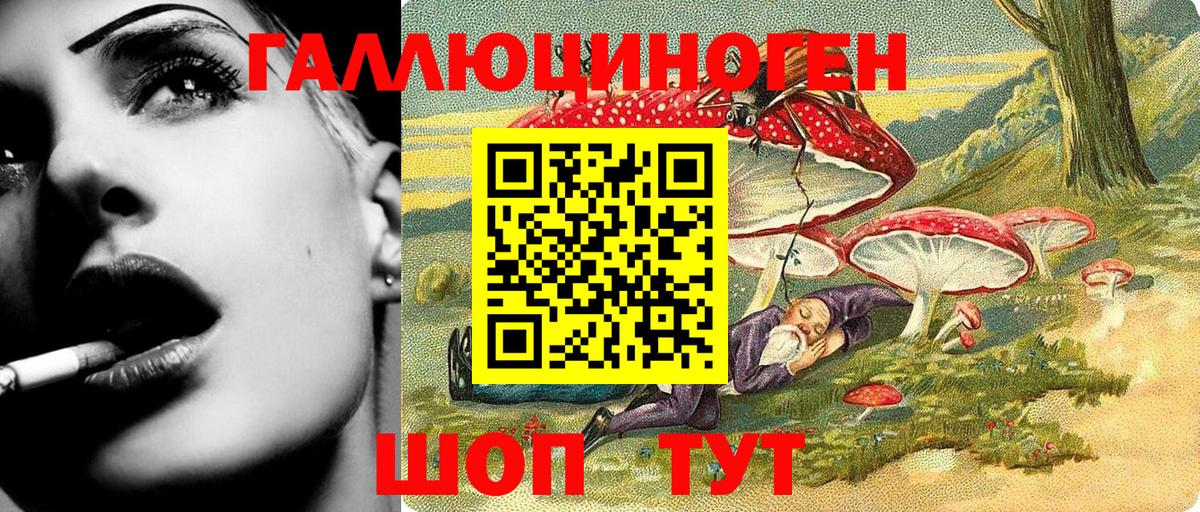 Рославль  Псилоцибиновые грибы GOLDEN TEACHER  хочу   Вход с VPN 